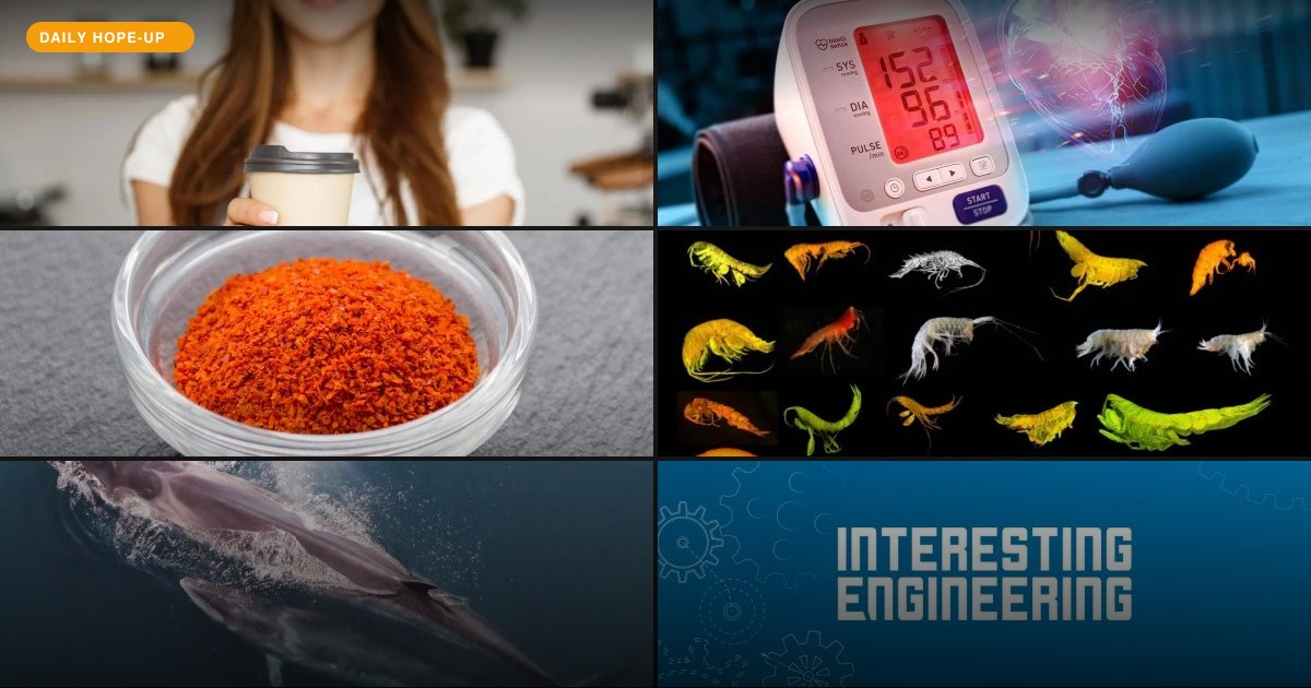 Today's Hope-Up: The Ocean Got a New Name, New Friends, and a New Treaty