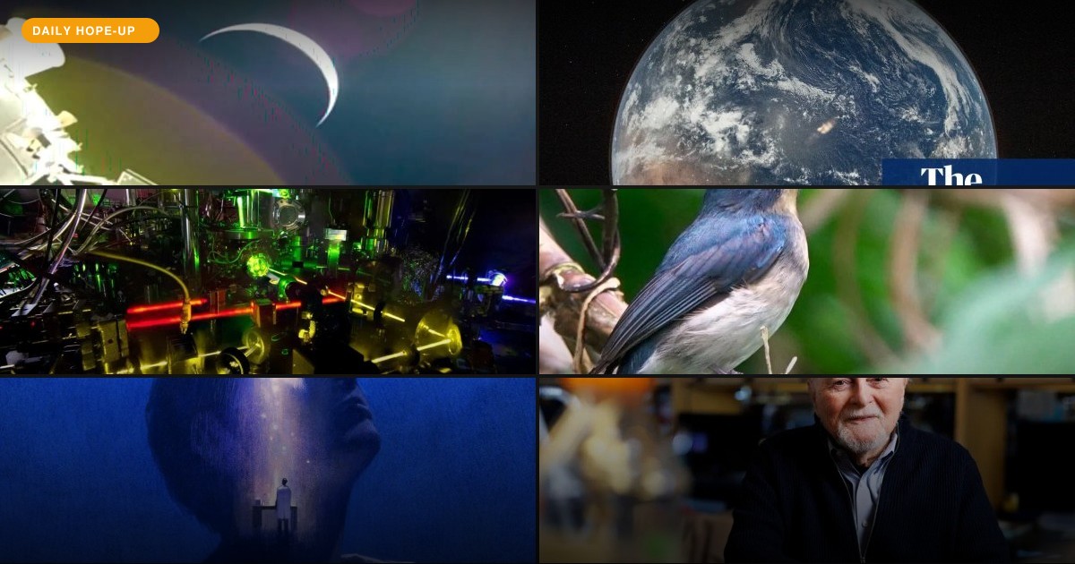 Today's Hope-Up: Humans Go Moon-Bound, Birds Come Home, and Migraines Get Understood