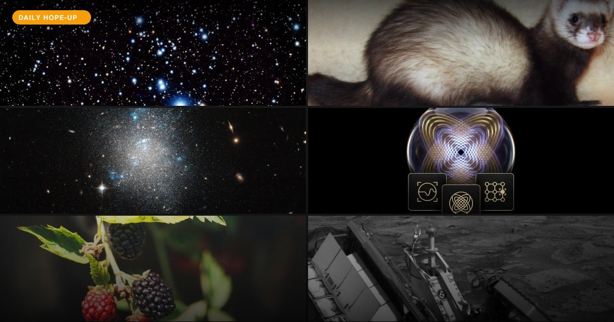 Today's Hope-Up: Ferrets Got Evicted, Flies Got Promoted, and the Cosmos Got Complicated