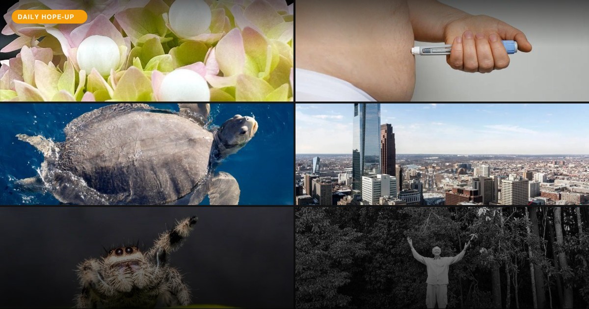 Today's Hope-Up: Nature's Architects, From Bankers to Buildings