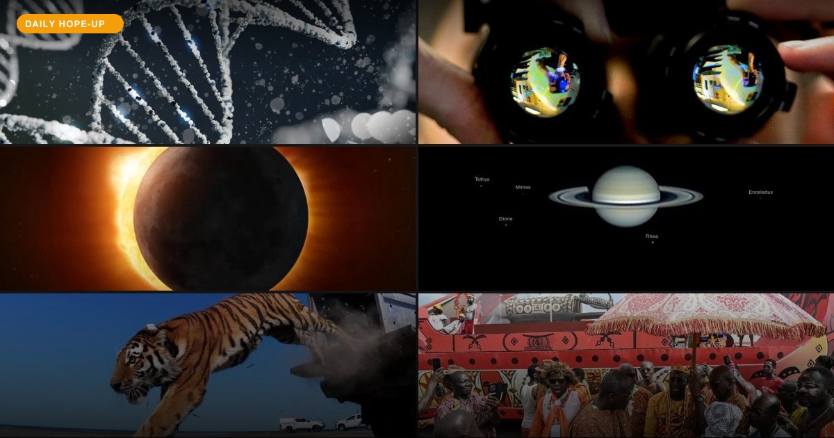Today's Hope-Up: Genes, Tigers, and the Return of a Talking Drum