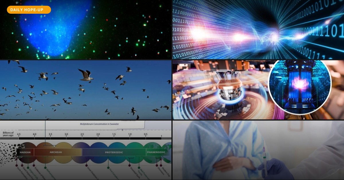 Today's Hope-Up: Your Liver Has a Schedule, And So Does the Universe