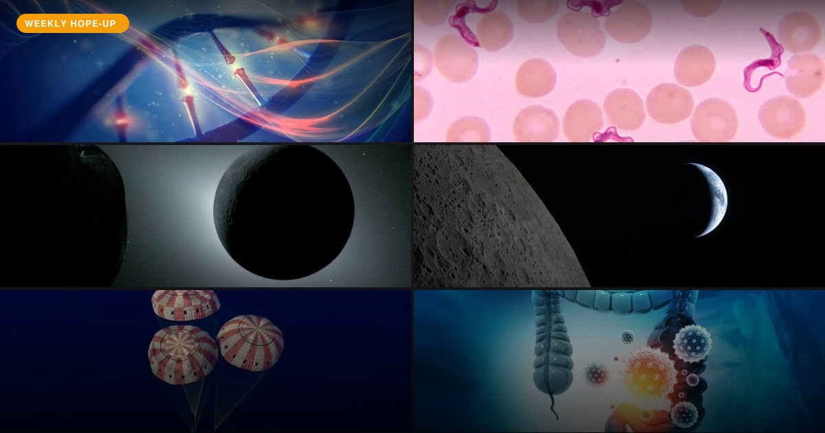 Your Week in Hope: Humanity's Reach, Nature's Resilience, and Tiny Victories