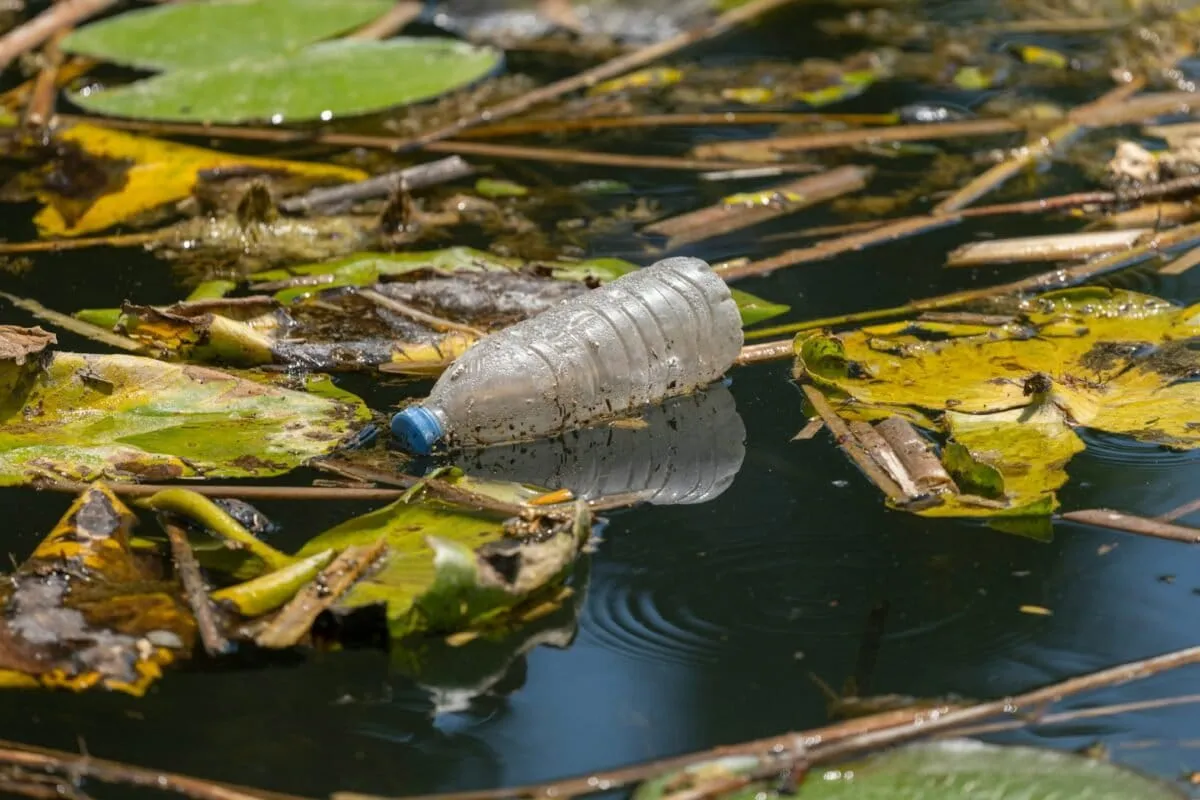 Scientists design plastics that break down on command