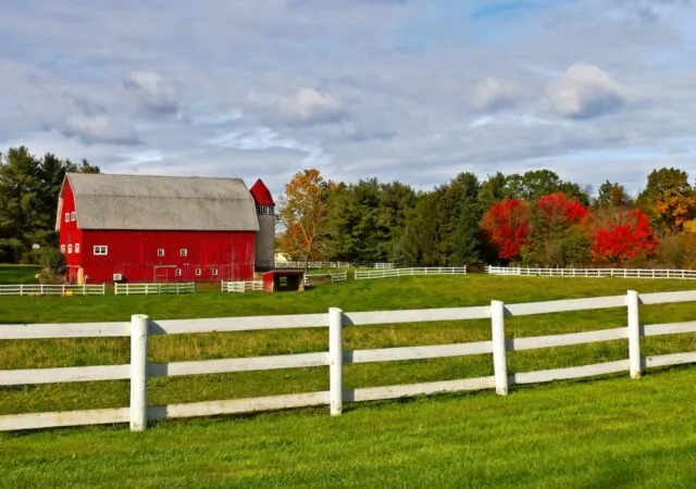 Article illustration