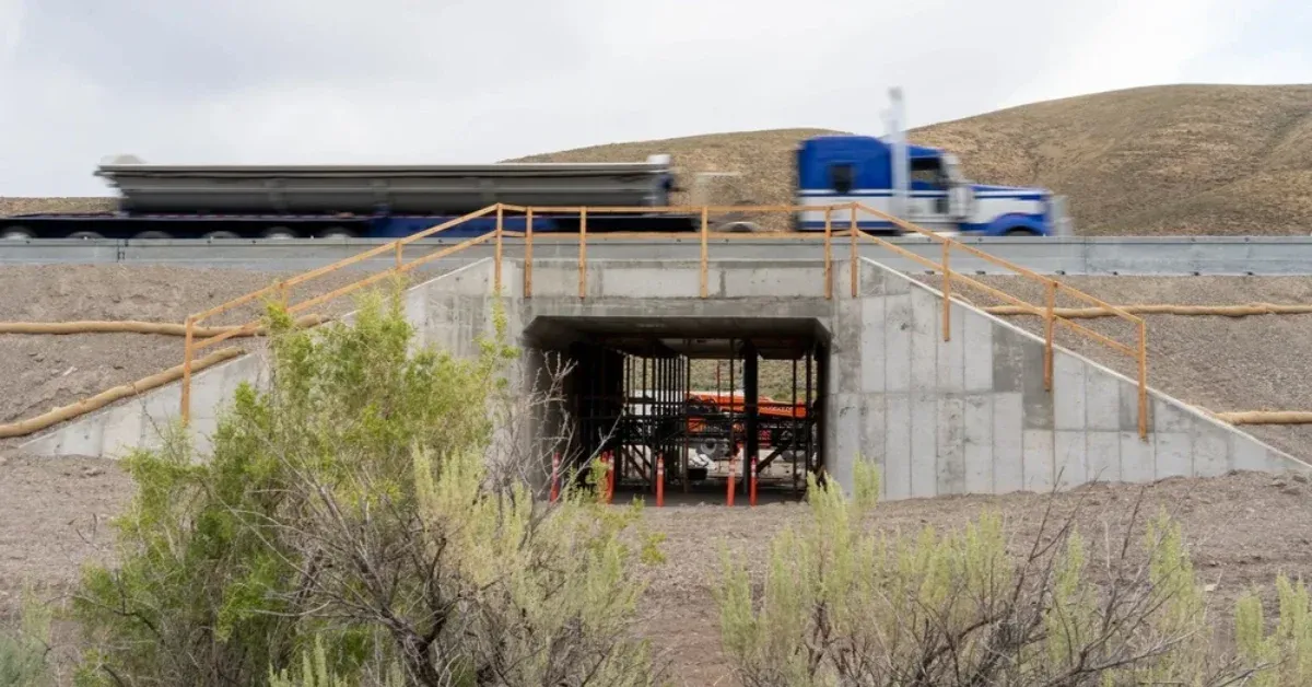 Idaho Built a Highway Underpass So Deer Can Commute Safely