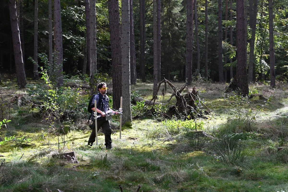 Archaeologists Unearth Traces of a Mysterious Medieval City That Was Abandoned Under Puzzling Circumstances Hundreds of Years Ago