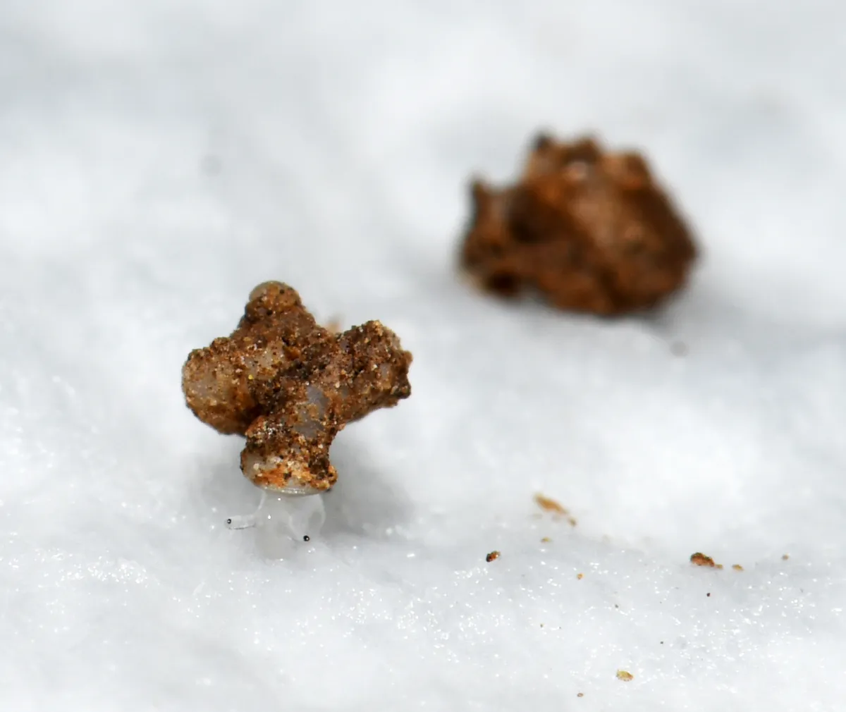 Article illustration