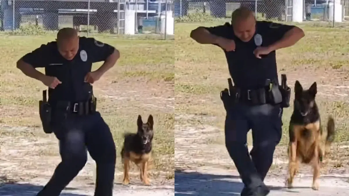 Police dog Kyra dances her way into 21 million hearts