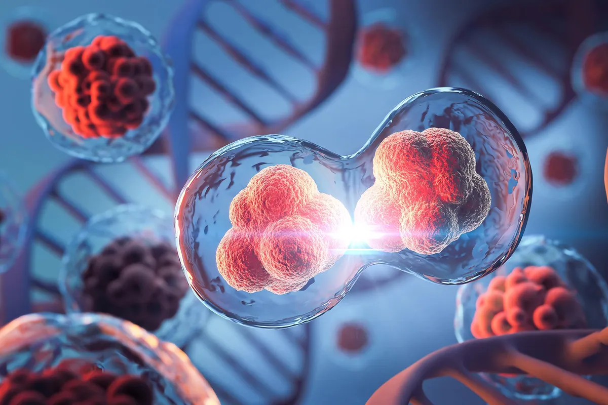 Scientists Just Discovered a Cellular Survival System That Was Never Supposed To Exist