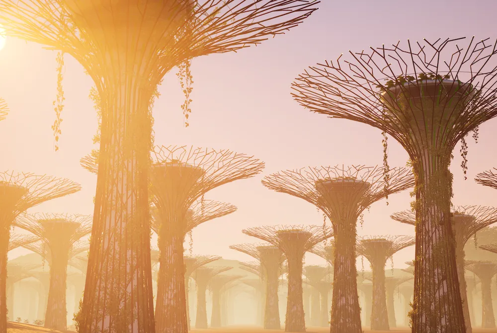 Article illustration