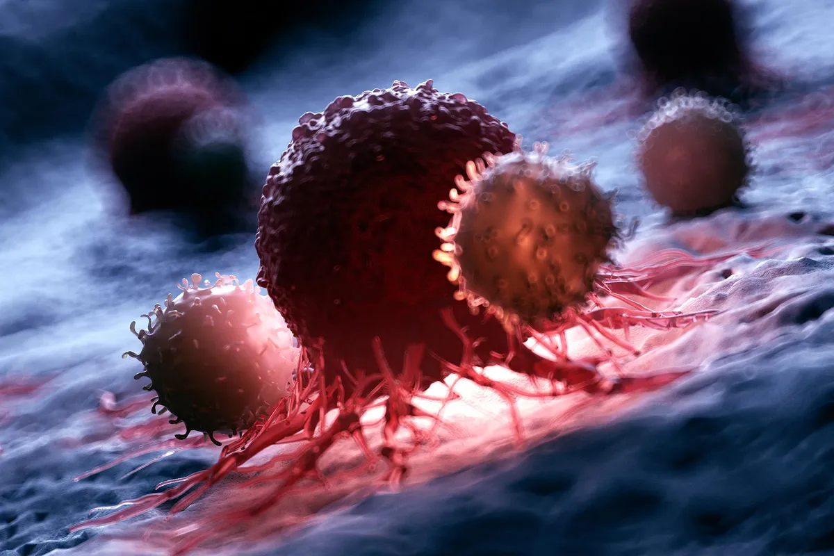 Scientists discover how cancer hides from immune system—and how to expose it