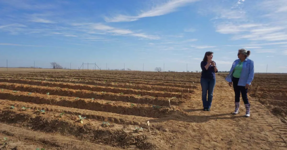 This giant garden used to be a coal mine. Now, it feeds thousands of Texans every year