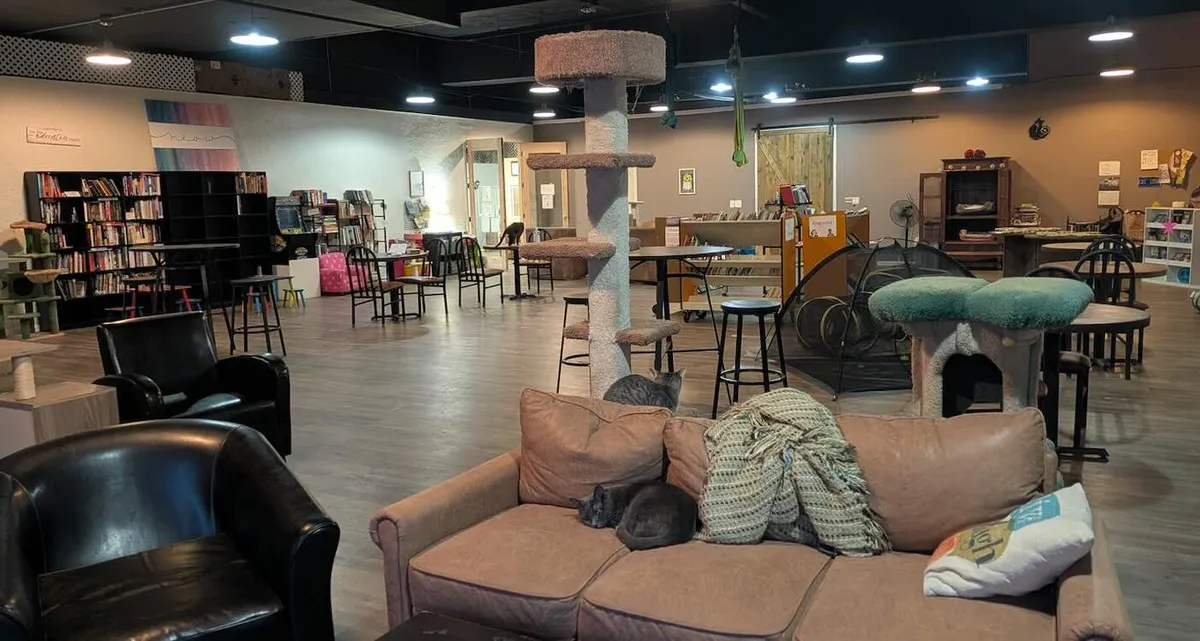 Wisconsin pet sanctuary becomes emergency shelter during deadly cold snap