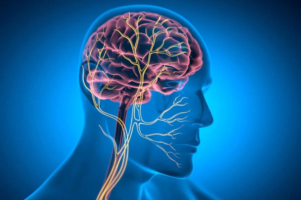 Patients Once “Paralyzed by Life” Show Lasting Recovery With Implanted Nerve Therapy