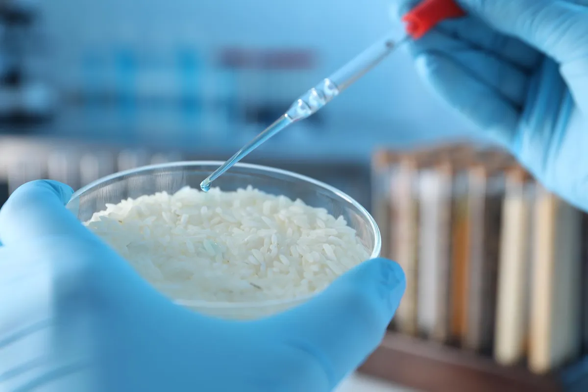Turns Out, Rice Has a Secret Talent Beyond Your Dinner Plate