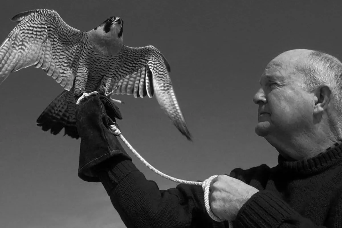 Mitchell Byrd, ornithologist who helped bring bald eagles back from the brink in the Chesapeake area