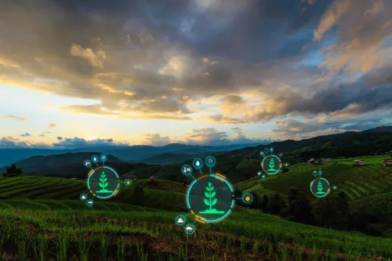 Scientists Are Turning Food Waste Into Farming Gold and Health Breakthroughs