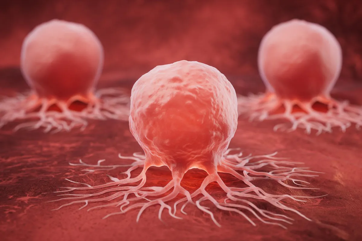 Cancer cells have a hidden metabolic weakness tied to vitamin B7