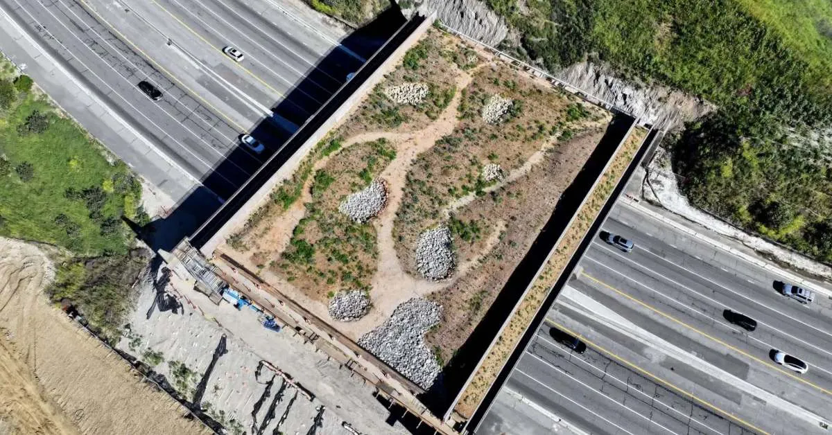 The world's largest wildlife overpass is coming to California this year. It will help animals safely cross 10 highway lanes