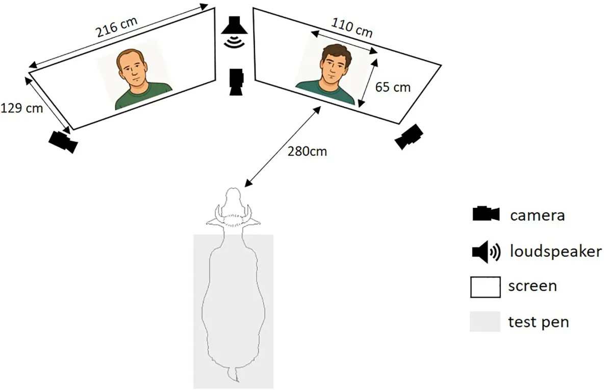 Article illustration