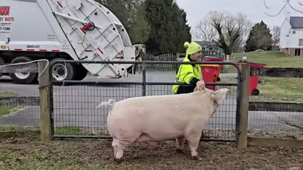 Article illustration