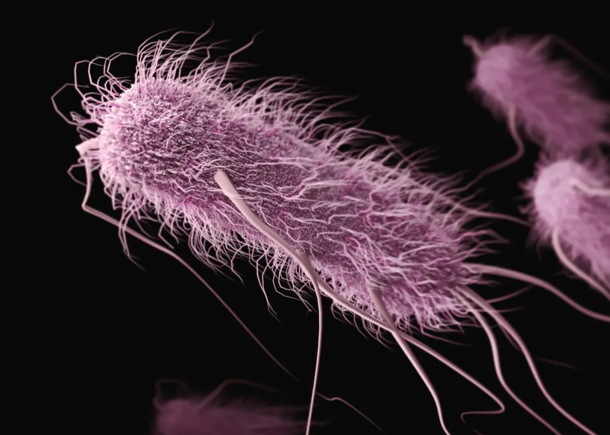 Scientists Just Rewrote Life's Instruction Manual, Deleting an Amino Acid