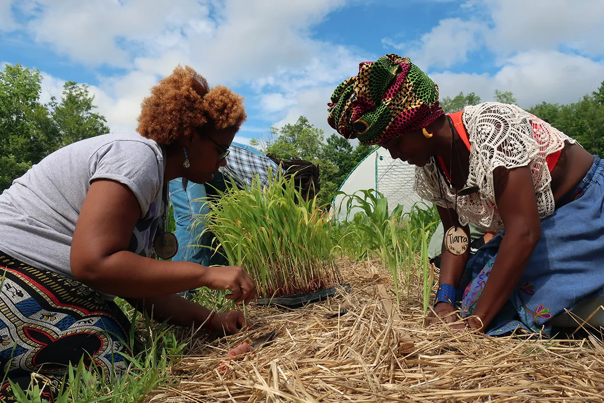 Black farmers lead climate solutions while fighting for land justice