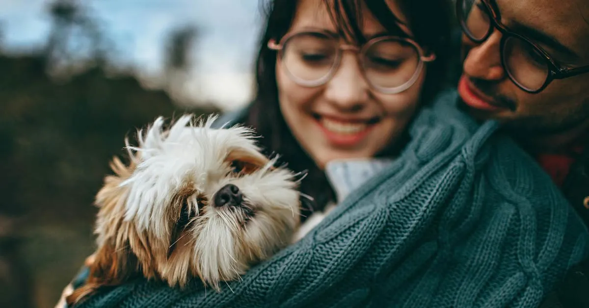 New York court declares dogs are immediate family, not property