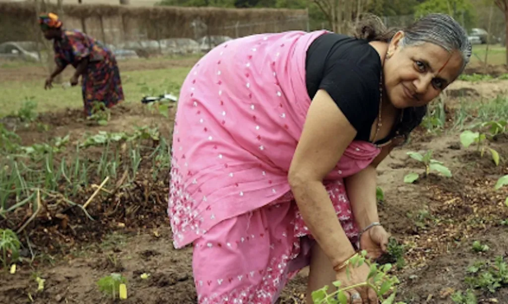 Texas refugee farmers grow food, income, and climate solutions
