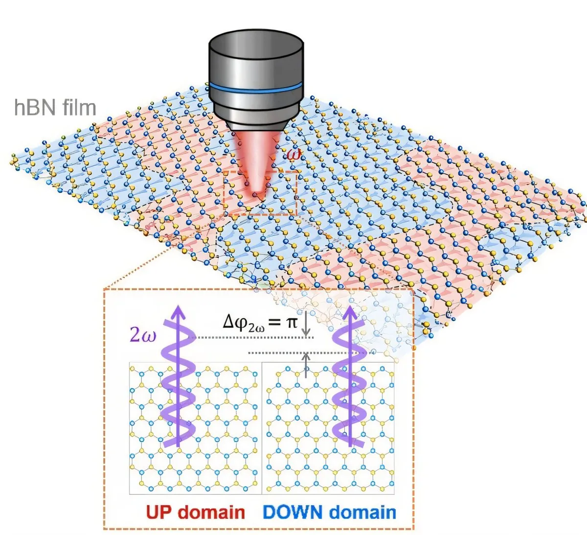 'Flawless on the outside, flipped within': Detecting hidden defects in 2D dielectrics with light