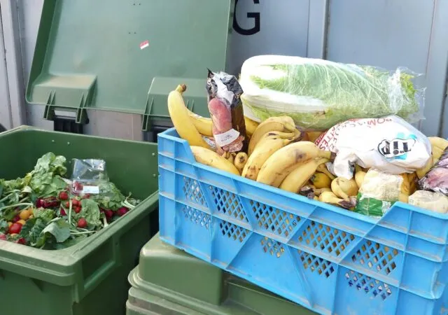 Article illustration