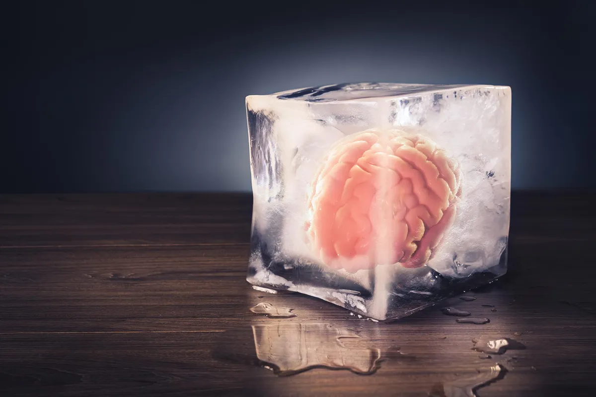 Scientists Discover New Way To Freeze and Revive Living Brain Tissue