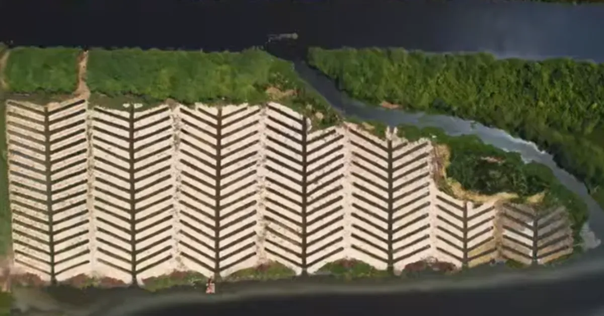 Article illustration