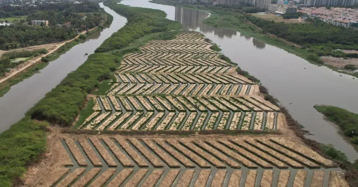 Article illustration