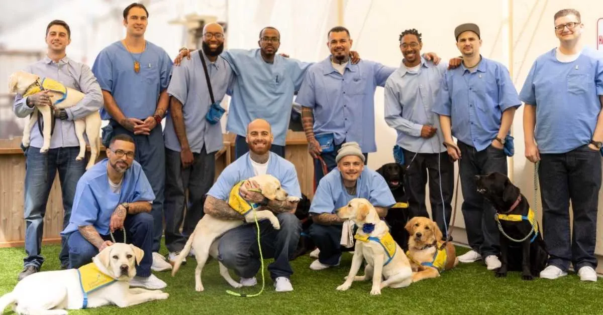 These incarcerated men trained guide dogs in prison. Their success inspired 11 more programs nationwide