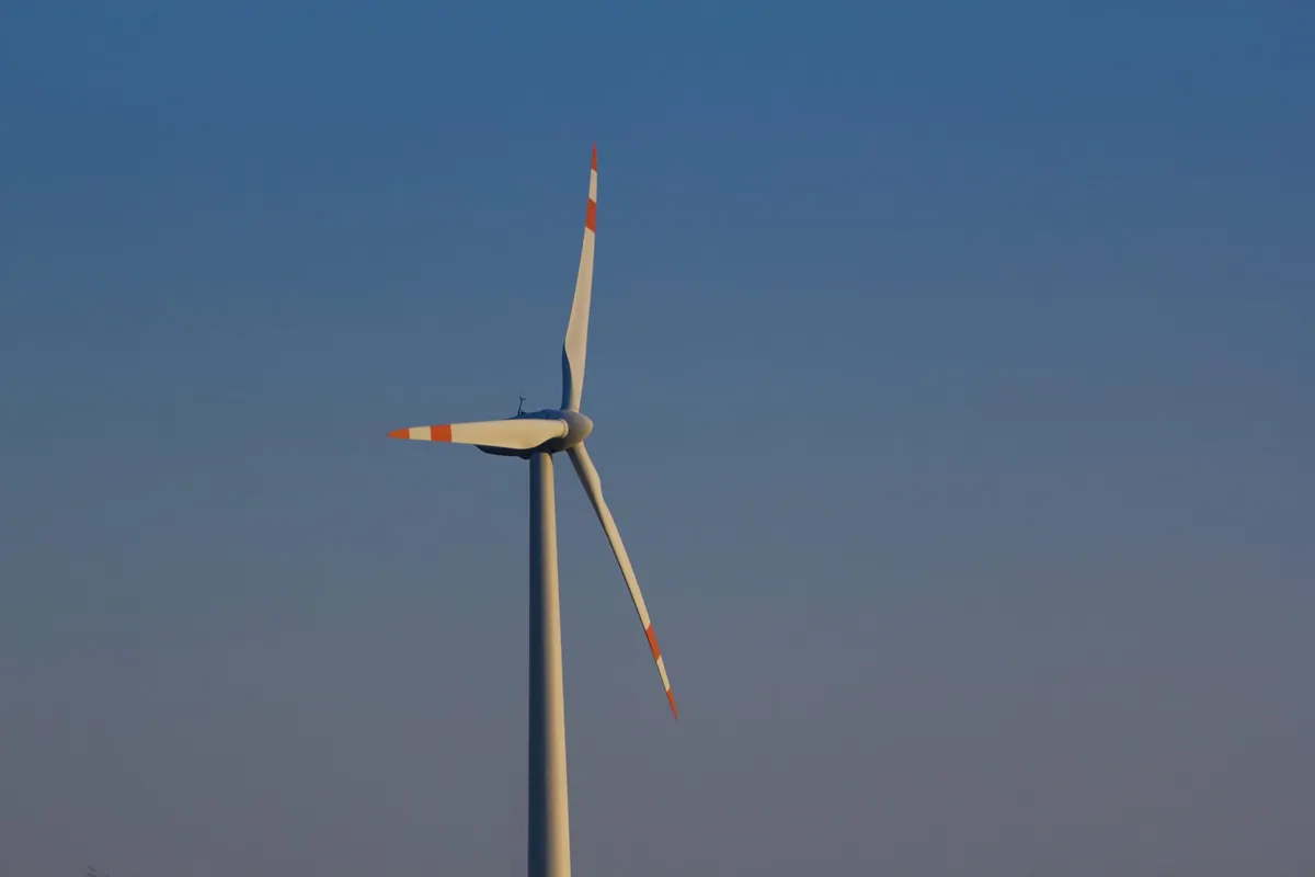 Article illustration