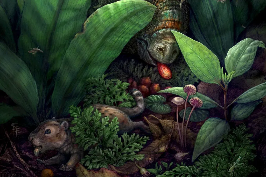 Early Flowering Plants May Have Relied on Dinosaurs to Eat Their Fleshy Fruits and Spread Their Seeds