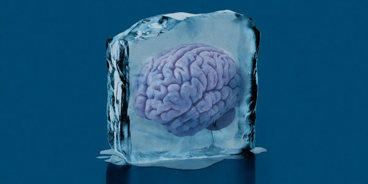 A scientist just rewarmed pieces of his friend's cryopreserved brain to study them
