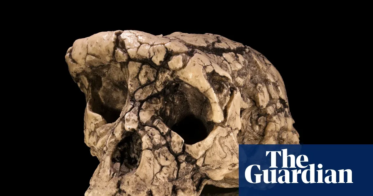 Bone Analysis Reveals Earliest Upright Ancestor of Humankind