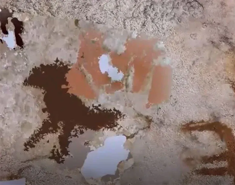 67,800 Yr Old Hand Stencil With Highlight