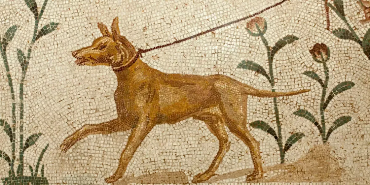 Ancient Romans loved their dogs. Here's what their heartbreakingly beautiful epitaphs said about them.