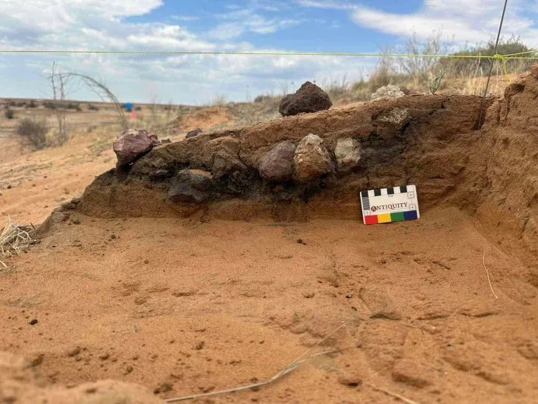 Scientists Discover an Odd Genetic Trait in an Ancient Aboriginal Food Plant