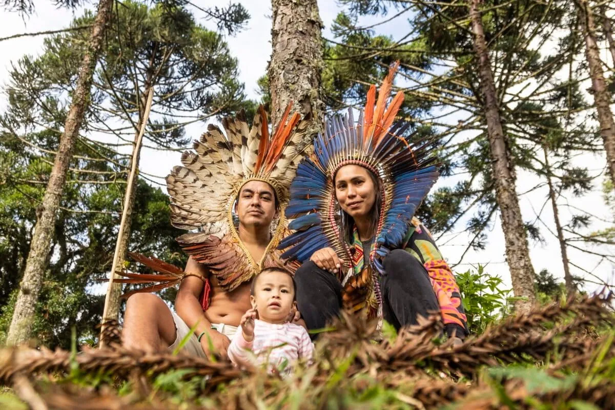 Indigenous Community Plants 100,000 Critically Endangered Pine Trees