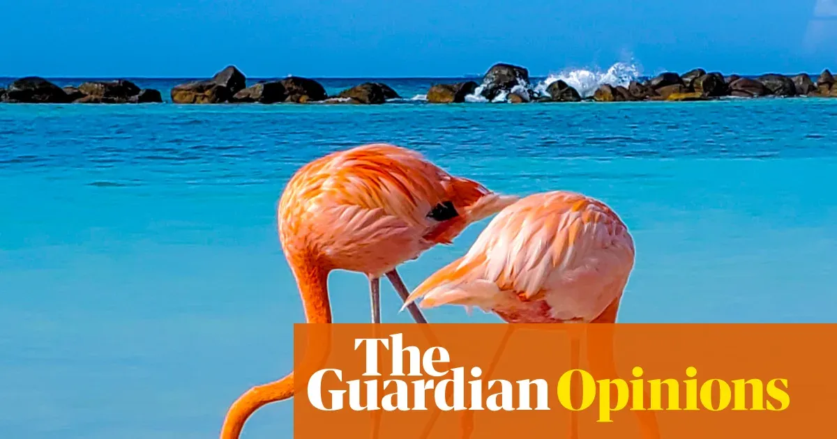 Could Science's Next Breakthroughs Cure Our Collective Burnout?