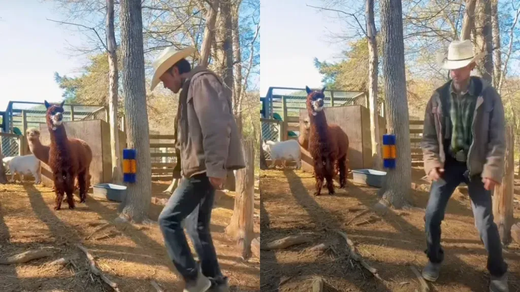 Article illustration