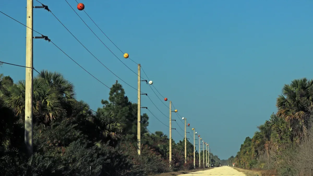 What are those orange balls on some power lines?