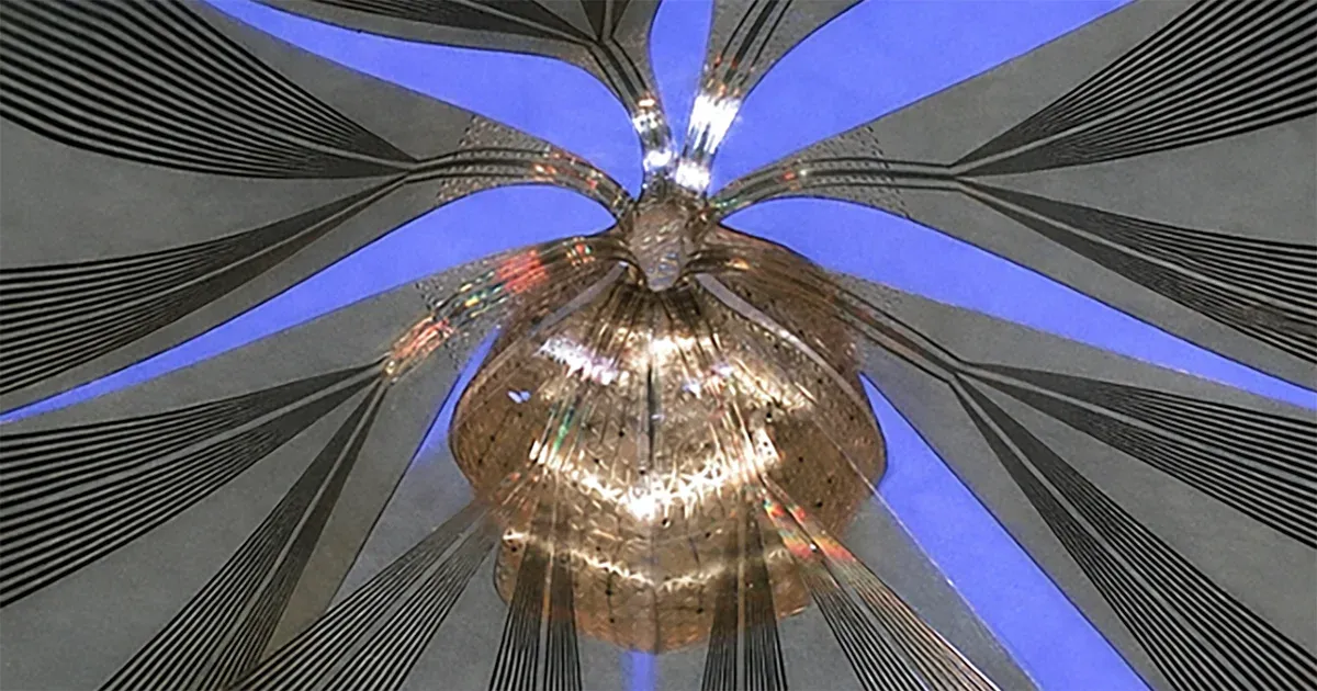 New Device Detects Brain Waves in Mini Brains Mimicking Early Human Development