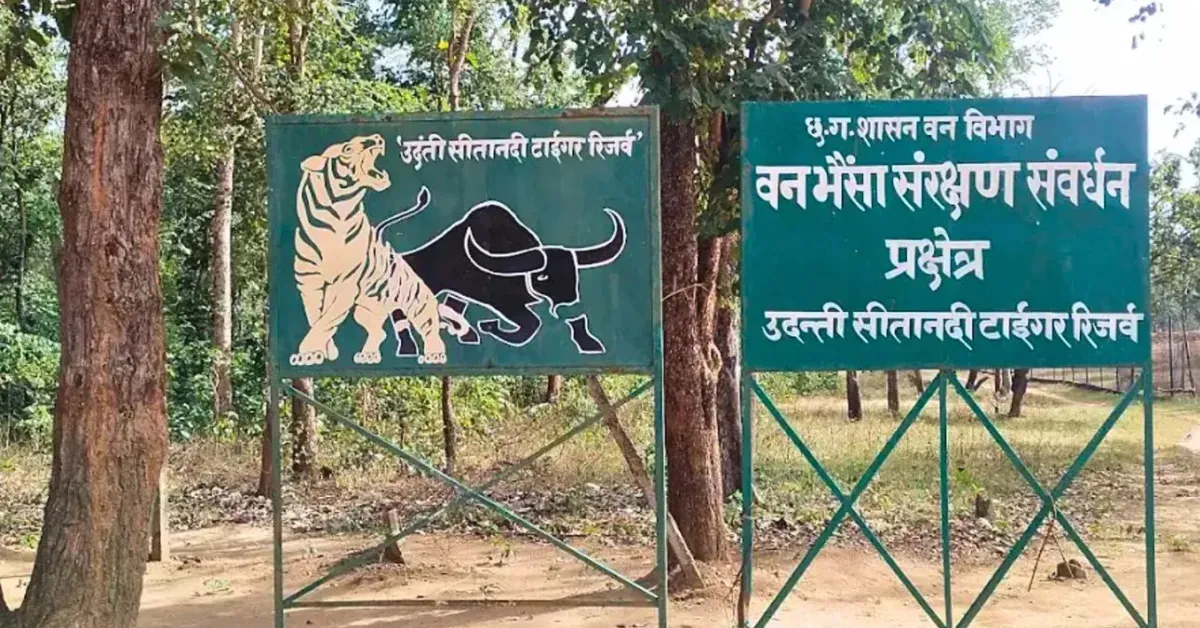 Article illustration