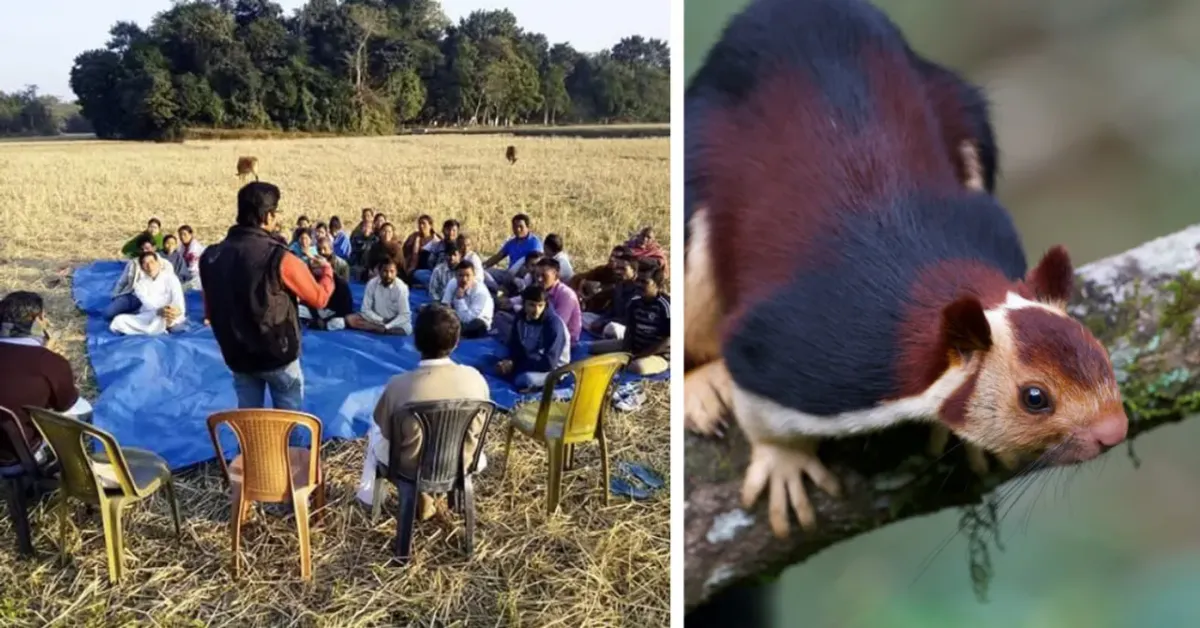 Article illustration